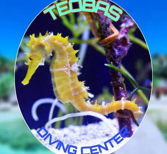 Teobas Diving Center Gasthof