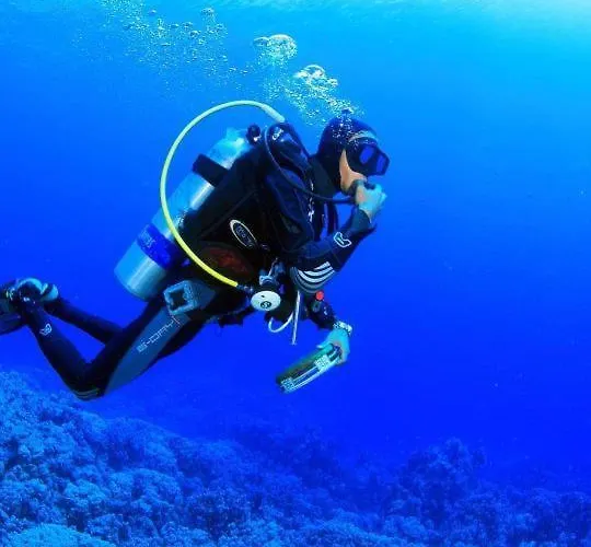 Teobas Diving Center