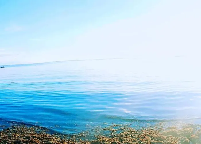 Teobas Diving Center * Moalboal
